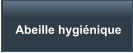 Abeille hyginique